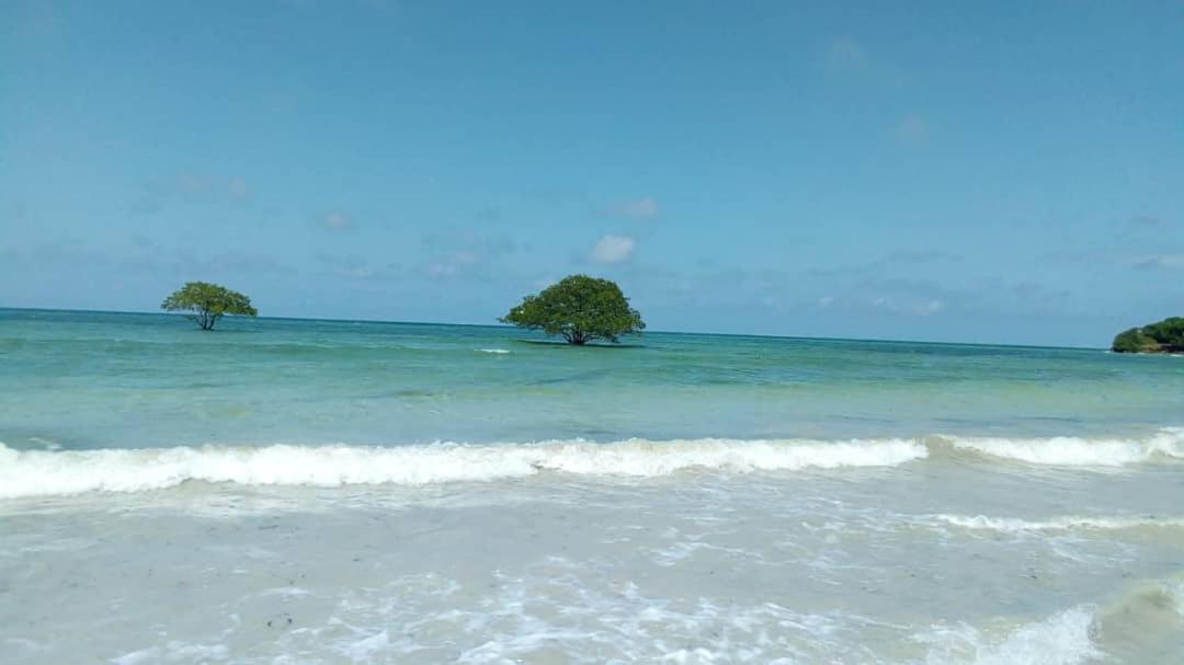 L&J Modern Backpackers Kigamboni Beach House Bed & Breakfast Dar es Salaam Exterior foto
