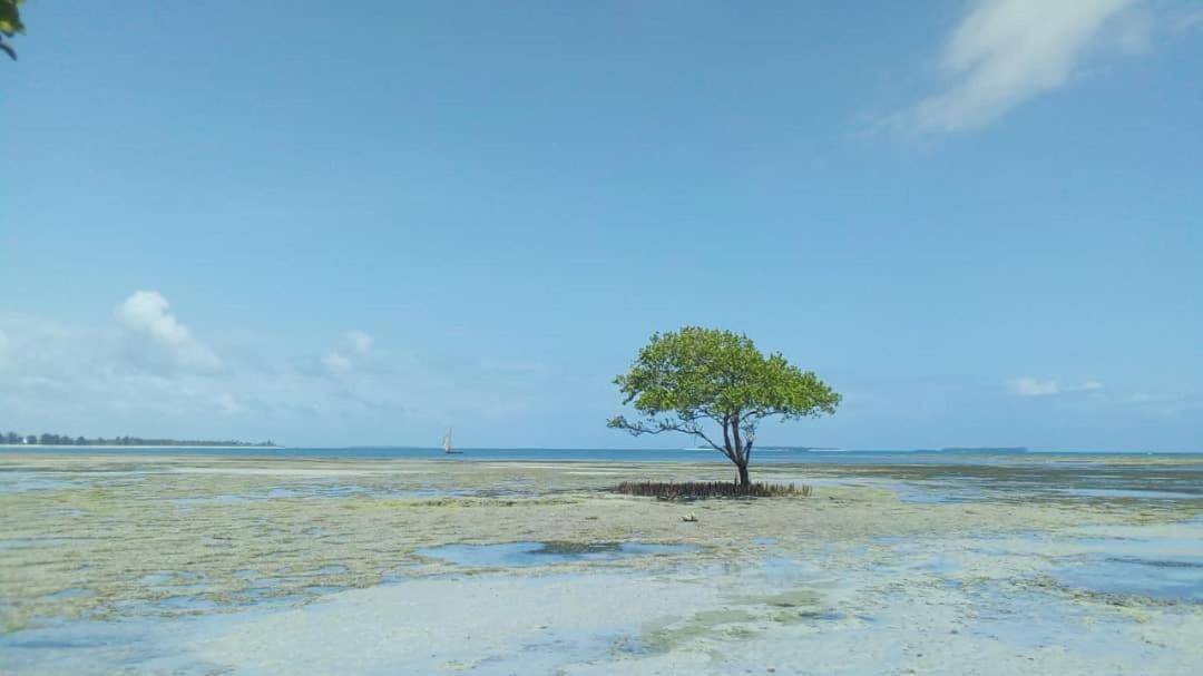 L&J Modern Backpackers Kigamboni Beach House Bed & Breakfast Dar es Salaam Exterior foto